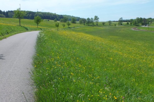 Radtour August 16 - 2 Radtour August 16 - 2