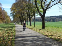 2016-10-16 Rutschenfelsen Lonsinger Tal 02.11.14 018