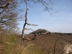 2017-04-23-rossberg-web 2017-04-23-rossberg-web