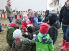 fotos-naturerfahrungsraum-wiesaztal-viele-streichelnde-haende-11-03-17-017-web
