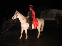 2016-11-11-martinsumzug-web